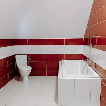 Siedlisko Leszczyny 公寓 *